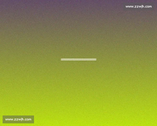 毕巴门神阿吉雷萨瓦拉租借加盟瓦伦西亚，含非强制买断条款